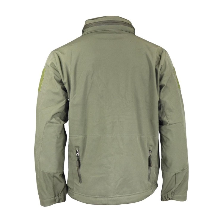OLIVE-2.jpg