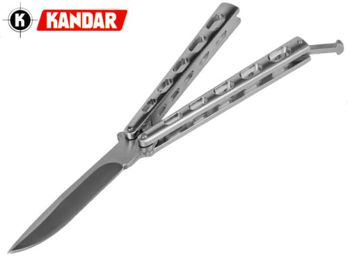 N146 motylek srebrny duży_1g4.jpg